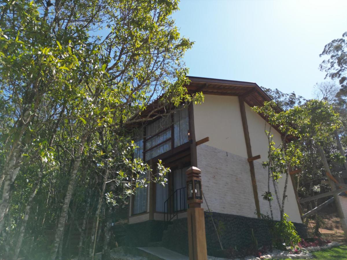 Luar Do Pico Santo Antonio do Pinhal