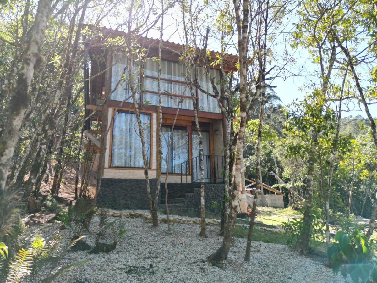 Luar Do Pico Apartment
