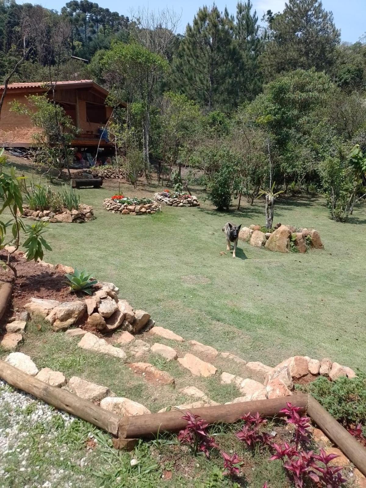Luar Do Pico Apartment Santo Antonio do Pinhal