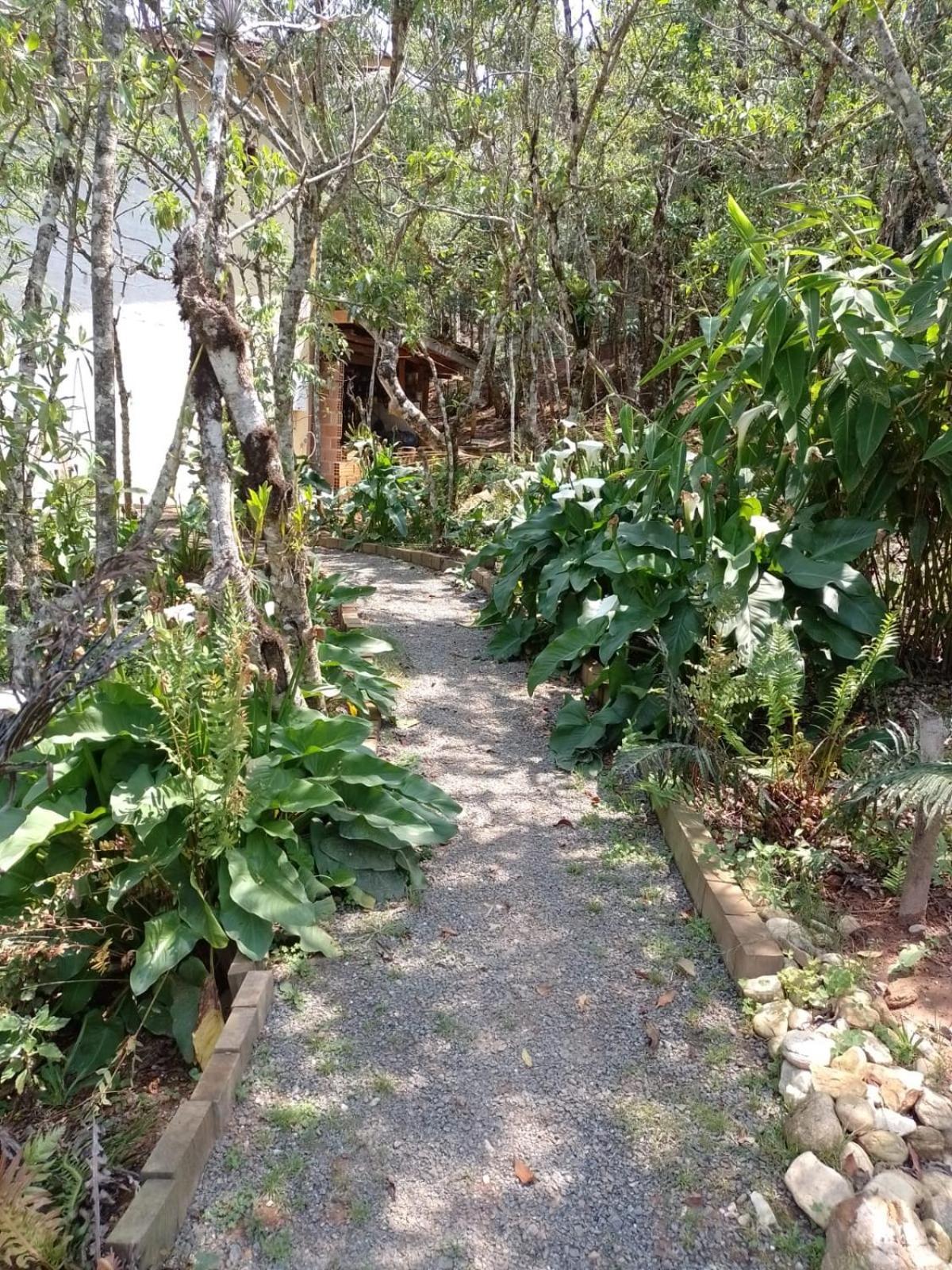 Apartment Luar Do Pico *