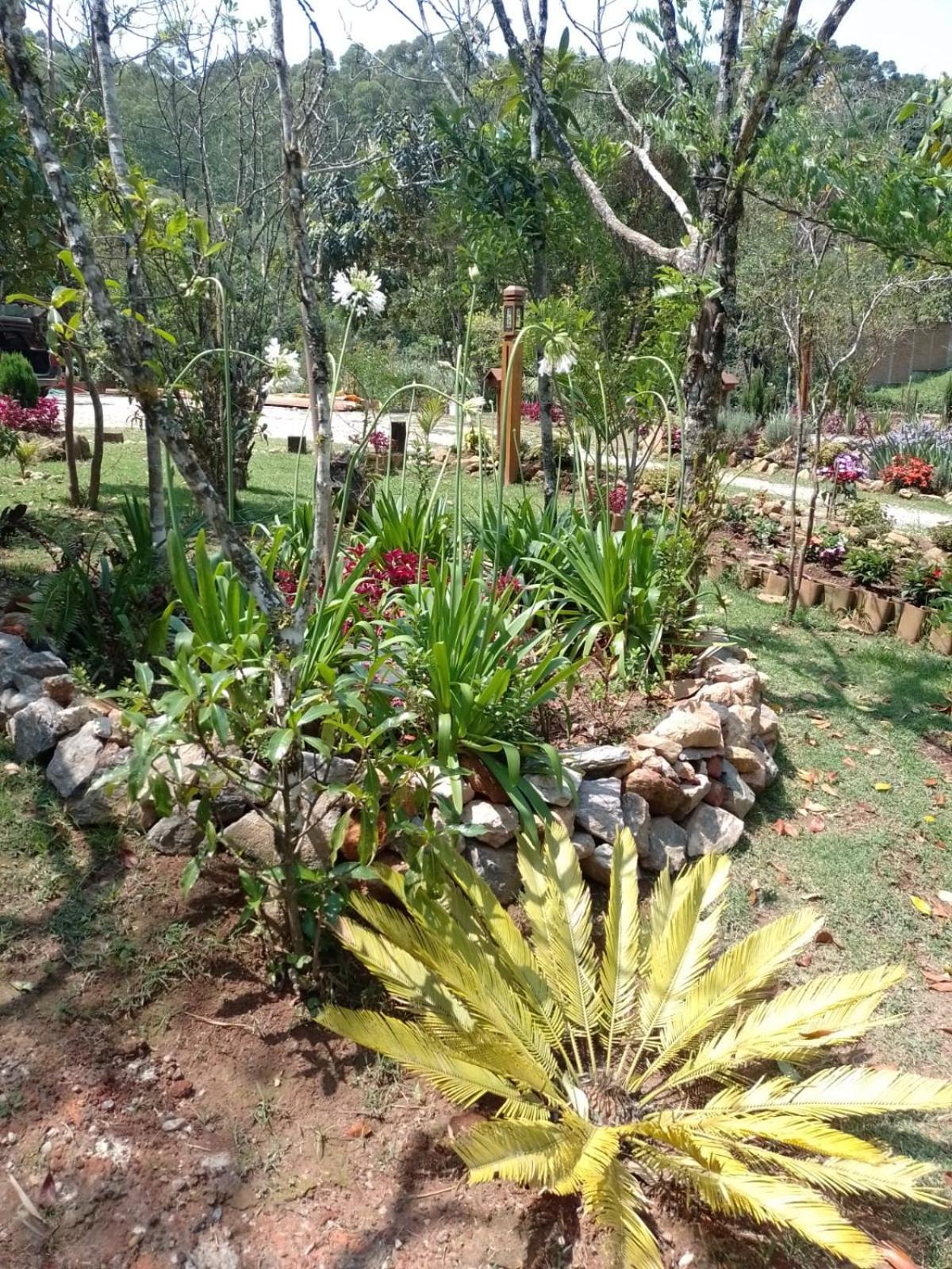 Luar Do Pico
